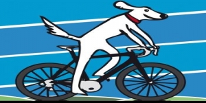 Salt Dog Cycling