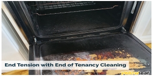 The Local Oven Cleaner