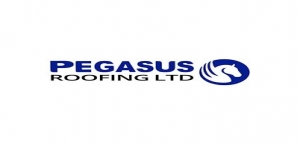 Pegasus Roofing