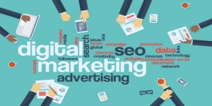 Spiderweb Digital Marketing Solutions