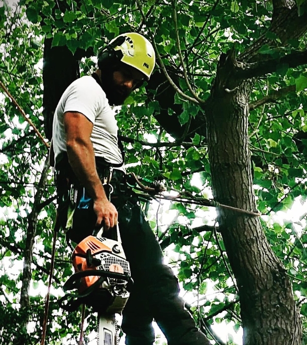 LumberJoe Tree Services