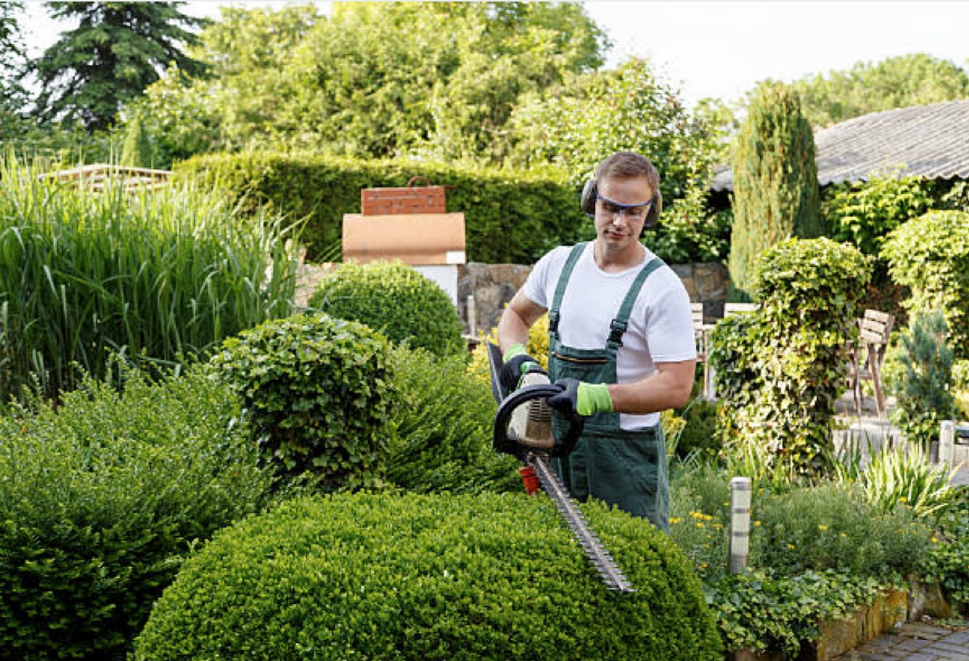 Sunbury & Windsor Gardeners