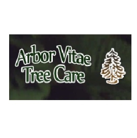 Arbor Vitae Tree Care