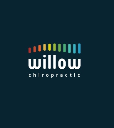 Willow Chiropractic - Bedminster