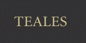 Teales Surveillance Ltd