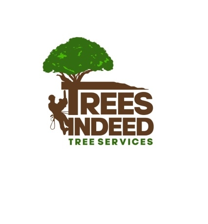 Trees Indeed