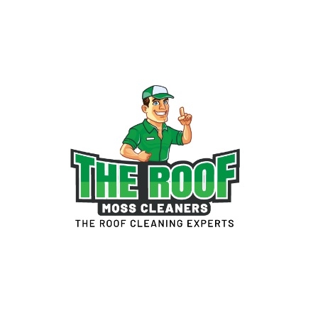 The Roof Moss Cleaners, Oxford
