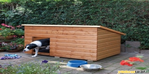 Shed King
