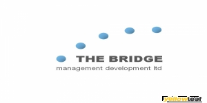 Bridge Consultants