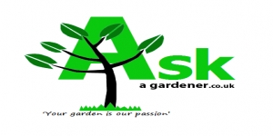 Ask A Gardener