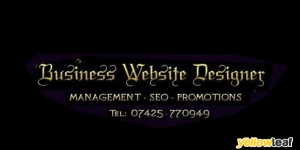 Website Design